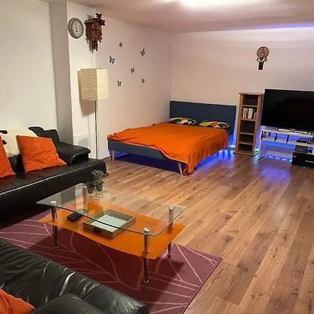 Spacious In Luxurious Villa-geneva Appartement *