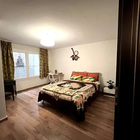 Spacious In Luxurious Villa-geneva