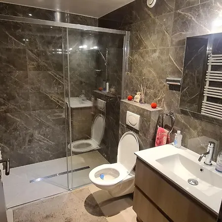 Spacious In Luxurious Villa-geneva