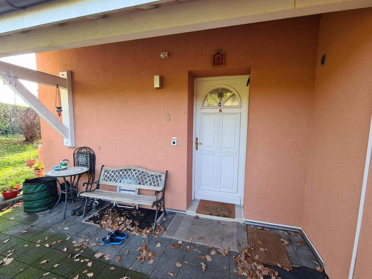 Apartment Spacious In Luxurious Villa-geneva Geneva